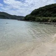 ねごとの画像