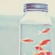 yuの画像