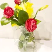 ちーの画像