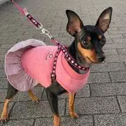 おんちゃん