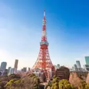 WTの画像