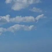 NENE