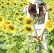 即購入○の画像