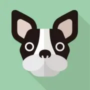 ビット２の画像