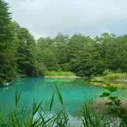 ほっこの画像