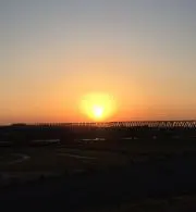 バンビ