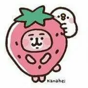 ワイルドストロベリー※プロフ読んで下さいの画像