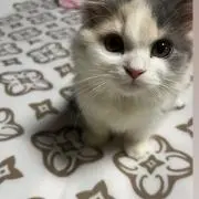 なり