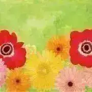 なつ　※次回発送7/22の画像