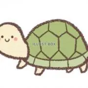かめの画像