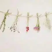 Leaf【5いいね以降はオークション】の画像