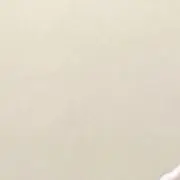 桜の画像