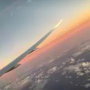FI