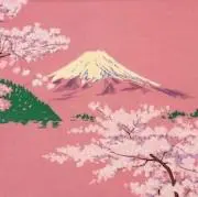 qmeの画像