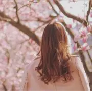 なら♪の画像