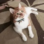 いなり