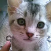 まーゆ