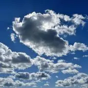 もぐらの画像
