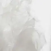 YUKIの画像