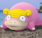 かめころ