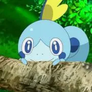 みずき