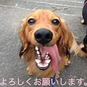 ROKU-3