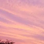 ともの画像