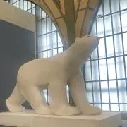 しろくまの画像