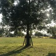 D Iの画像