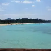 Omamaの画像