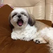 なつ