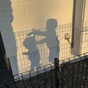 sunny side⭐︎即購入歓迎❣の画像
