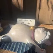 寝坊助 /値下げ交渉、即購入◎の画像