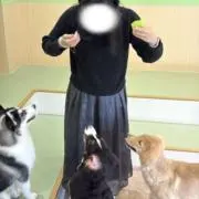 りんご