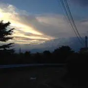 Shunの画像