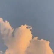 ららの画像
