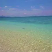 TAKAHIROの画像