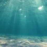 みつきの画像