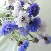 ★ゅぅゅぅ★プロフ必読