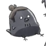 ゆゆの画像