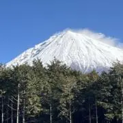 ジェマルの画像