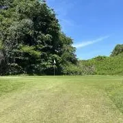 きいの画像
