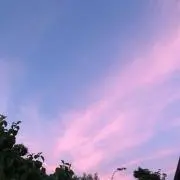 餅の画像