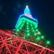 フラワーちゃんの画像