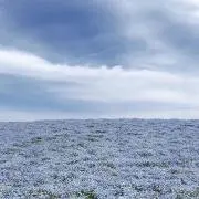 n_uの画像