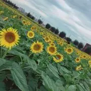 おまとめ割引!大幅値下げ! Hana.❁の画像