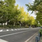 断捨離中の画像