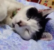のる