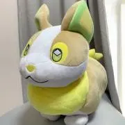Rの画像
