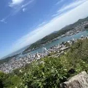 茉莉の画像